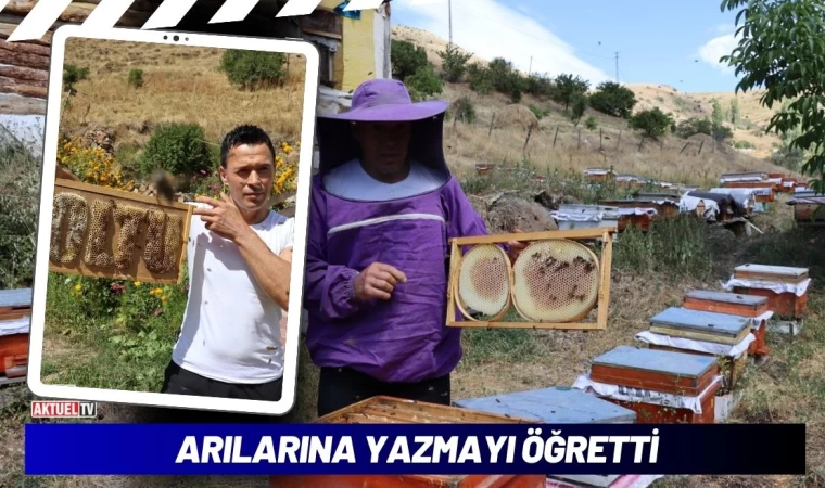 Arılarına Yazmayı Öğretti