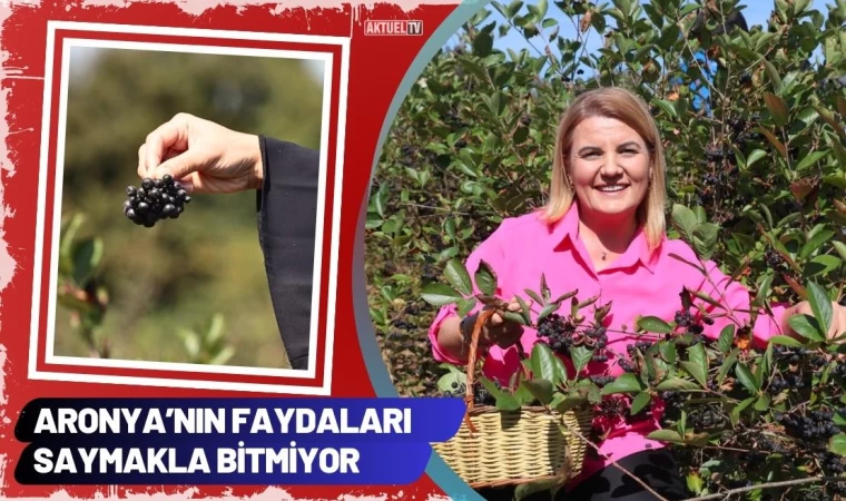 Aronya’nın Faydaları Saymakla Bitmiyor