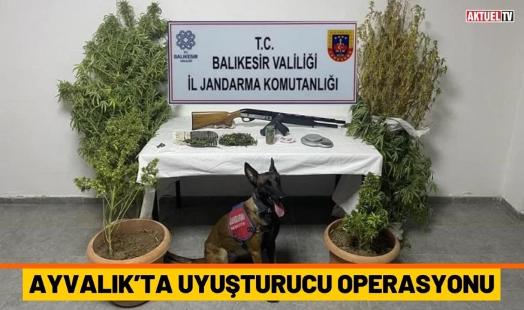 Ayvalık’ta Uyuşturucu Operasyonu