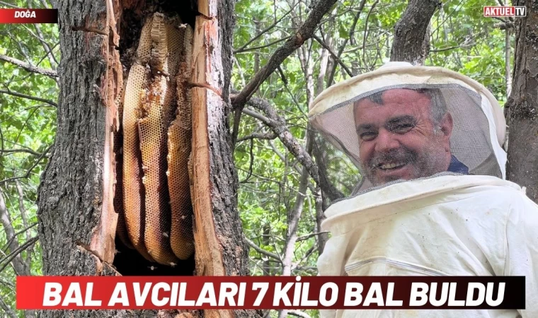 Bal Avcıları 7 Kilo Bal Buldu