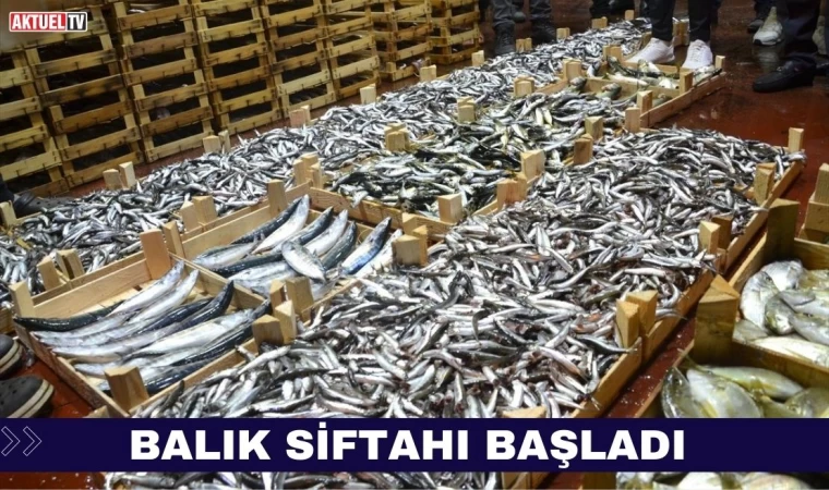 Balık Siftahı Başladı