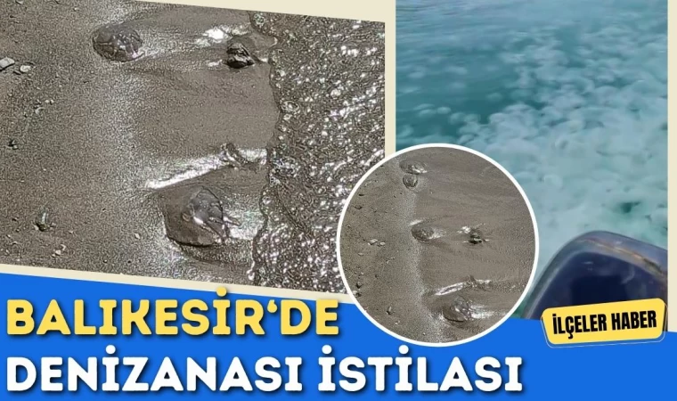 Balıkesir’de Denizanası İstilası