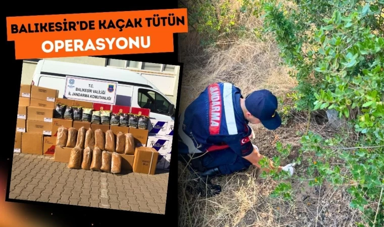 Balıkesir’de Kaçak Tütün Operasyonu