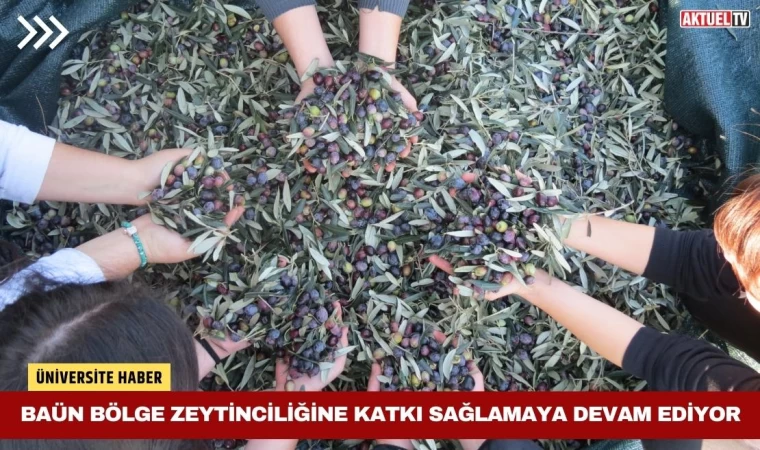 BAÜN Bölge Zeytinciliğine Katkı Sağlamaya Devam Ediyor