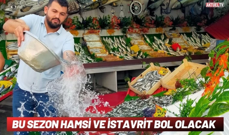 Bu Sezon Hamsi ve İstavrit Bol Olacak