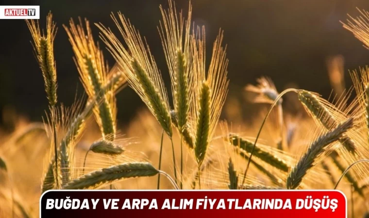 Buğday ve Arpa Alım Fiyatlarında Düşüş