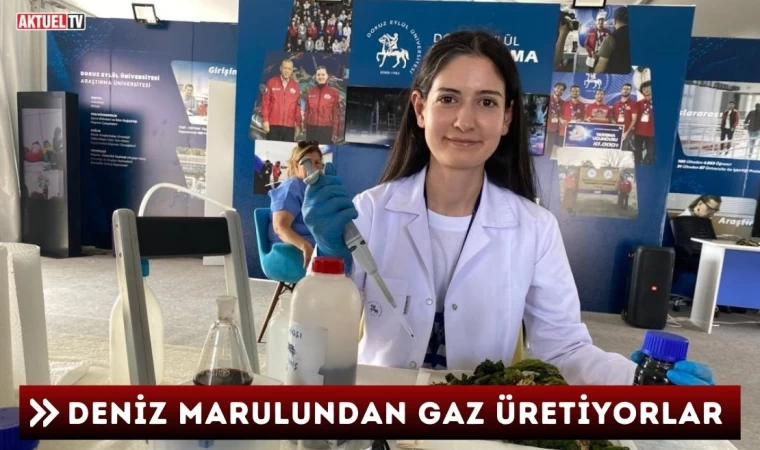 Deniz Marulundan Gaz Üretiyorlar