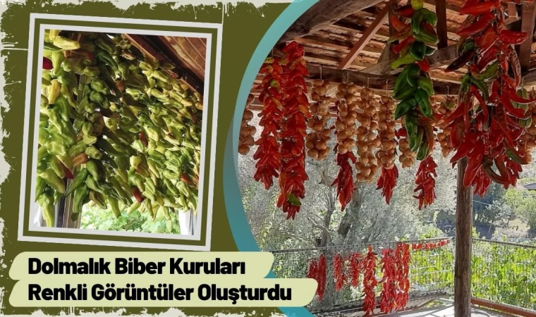 Dolmalık Biber Kuruları Renkli Görüntüler Oluşturdu