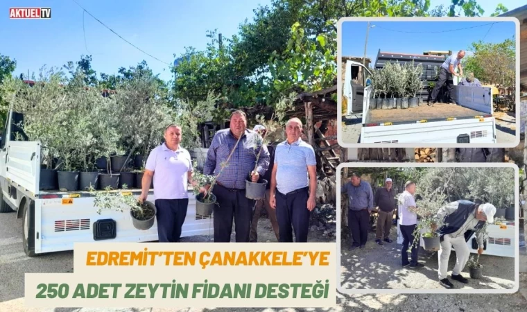 Edremit’ten Çanakkele’ye 250 Adet Zeytin Fidanı Desteği