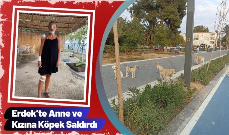 Erdek’te Anne ve Kızına Köpek Saldırdı