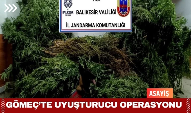 Gömeç’te Uyuşturucu Operasyonu