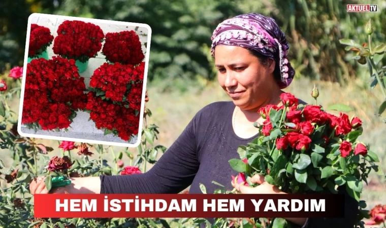 Hem İstihdam Hem Yardım