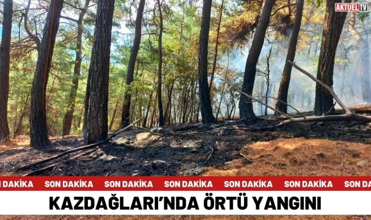 Kazdağları’nda Örtü Yangını