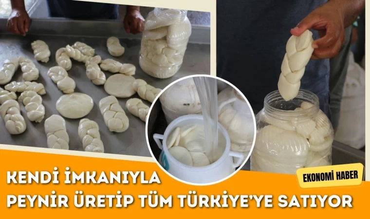 Kendi İmkanıyla Peynir Üretip Satıyor