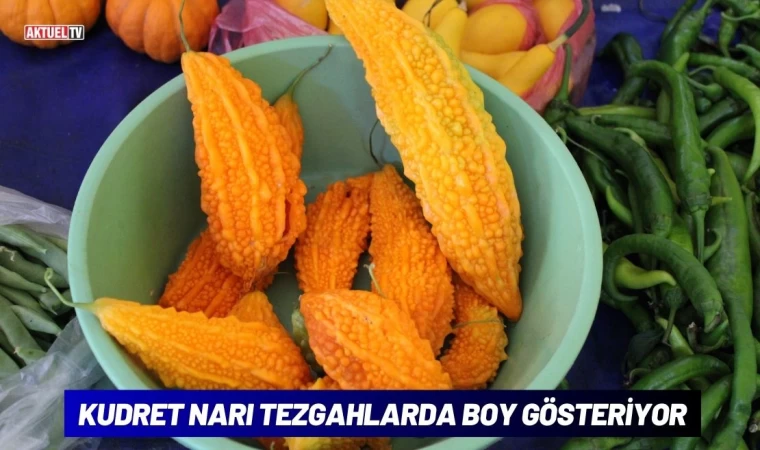 Kudret Narı Tezgahlarda Boy Gösteriyor