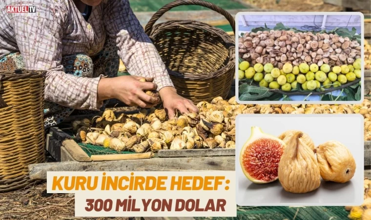 Kuru İncirde Hedef: 300 Milyon Dolar