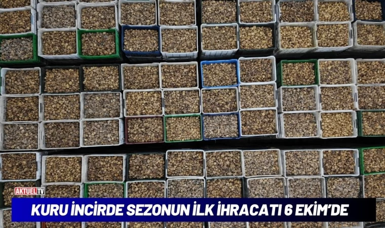 Kuru İncir’de İhracat 6 Ekim’de Başlıyor