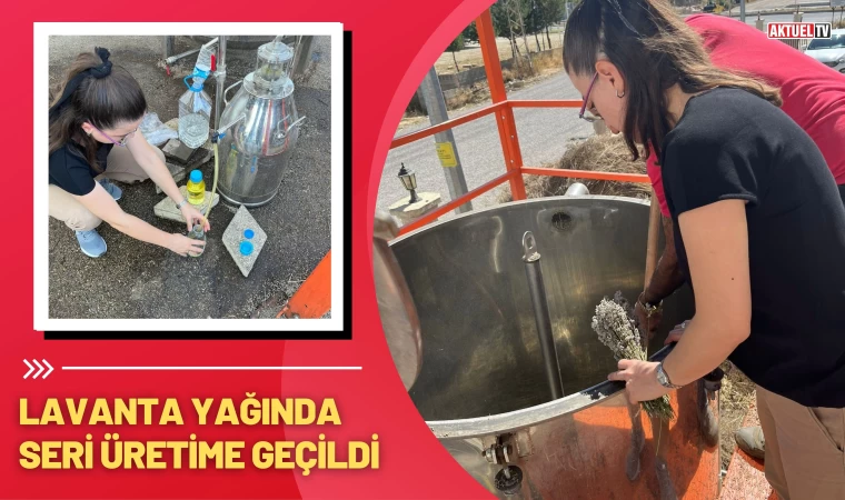 Lavanta Yağında Seri Üretime Geçildi