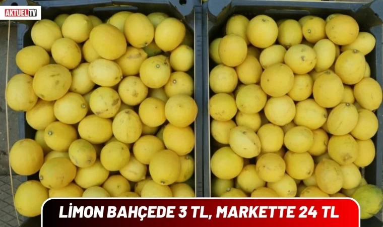 Limon Bahçede 3 TL, Markette 24 TL