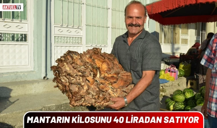 Mantarın Kilosunu 40 Liradan Satıyor