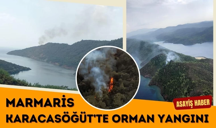 Marmaris Karacasöğüt’te Orman Yangını