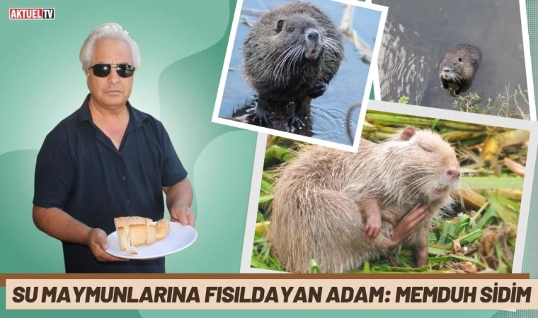 Su Maymunlarına Fısıldayan Adam: Memduh Sidim