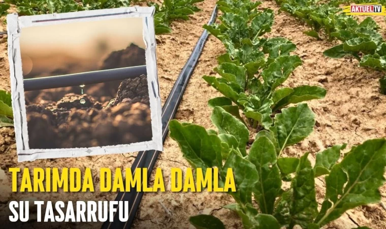 Tarımda Damla Damla Su Tasarrufu