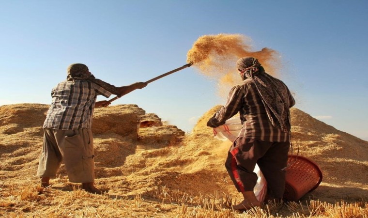 Tarımsal Girdi Fiyat Endeksi Arttı