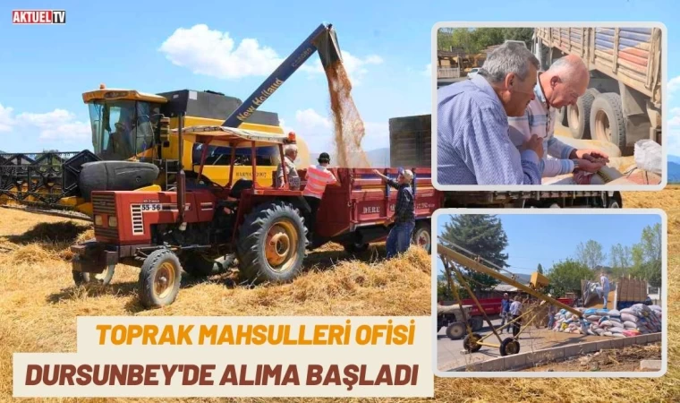 Toprak Mahsulleri Ofisi Dursunbey'de Alıma Başladı