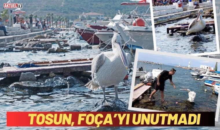 Tosun Foça’yı Unutmadı