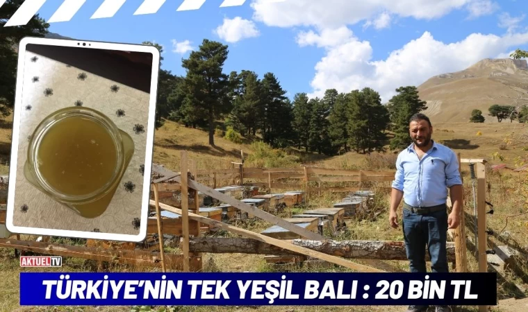 Türkiye’nin Tek Yeşil Balı : 20 Bin TL