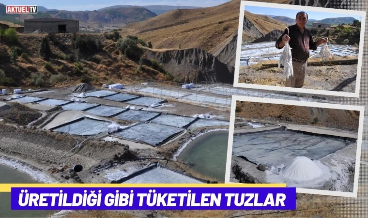 Üretildiği Gibi Tüketilen Tuzlar