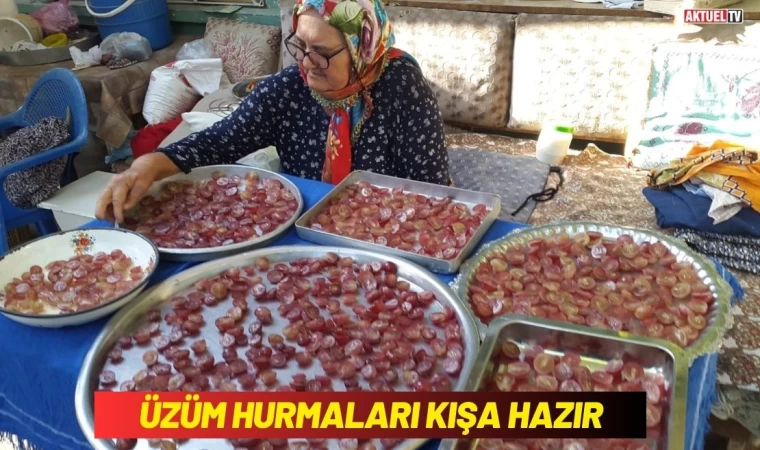 Üzüm Hurmaları Kışa Hazır