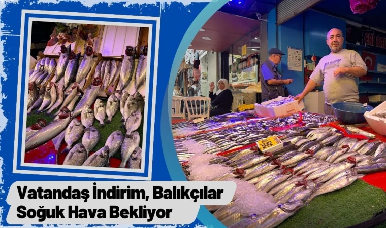 Vatandaş İndirim, Balıkçılar Soğuk Hava Bekliyor