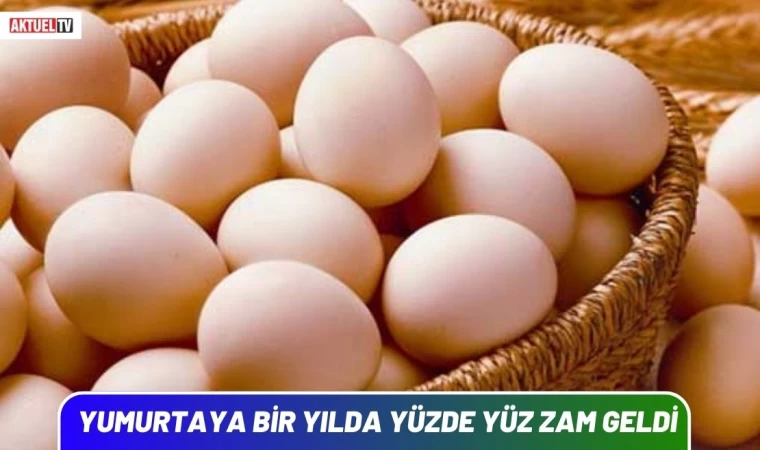 Yumurta Bir Yılda Yüzde Yüz Zamlandı