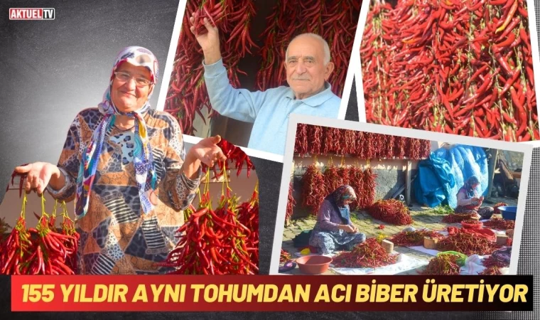 155 Yıldır Aynı Tohumdan Acı Biber Üretiyor