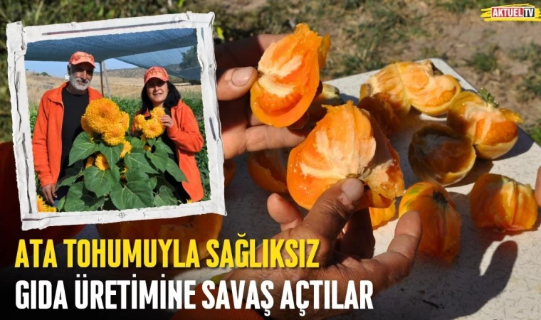 Ata Tohumuyla Sağlıksız Gıda Üretimine Savaş Açtılar