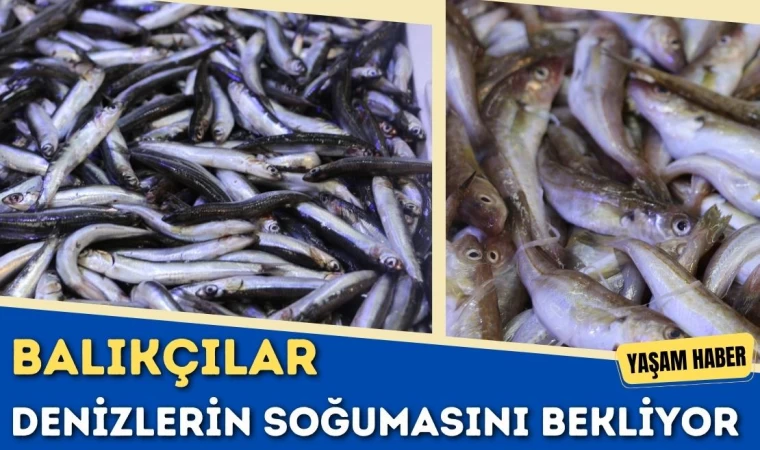 Balıkçılar Denizlerin Soğumasını Bekliyor