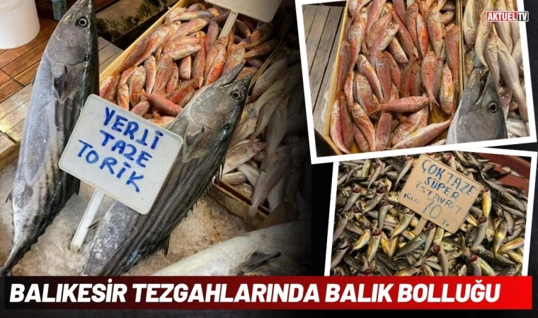 Balıkesir Tezgahlarında Balık Bolluğu