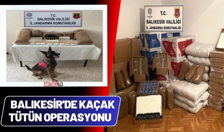 Balıkesir'de Kaçak Tütün Operasyonu