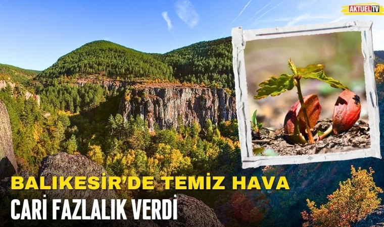 Balıkesir’de Temiz Hava Cari Fazlalık Verdi