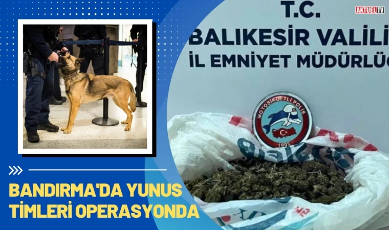 Bandırma'da Yunus Timleri Operasyonda