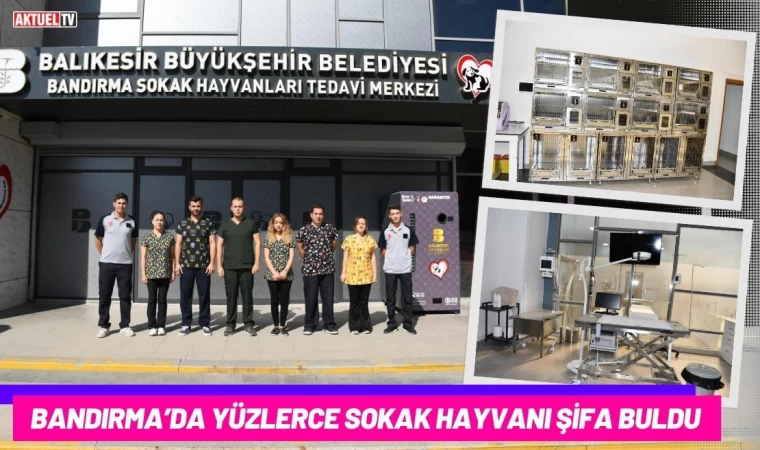 Bandırma’da Yüzlerce Sokak Hayvanı Şifa Buldu