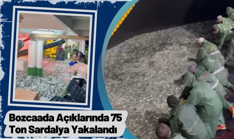 Bozcaada Açıklarında 75 Ton Sardalya Yakalandı