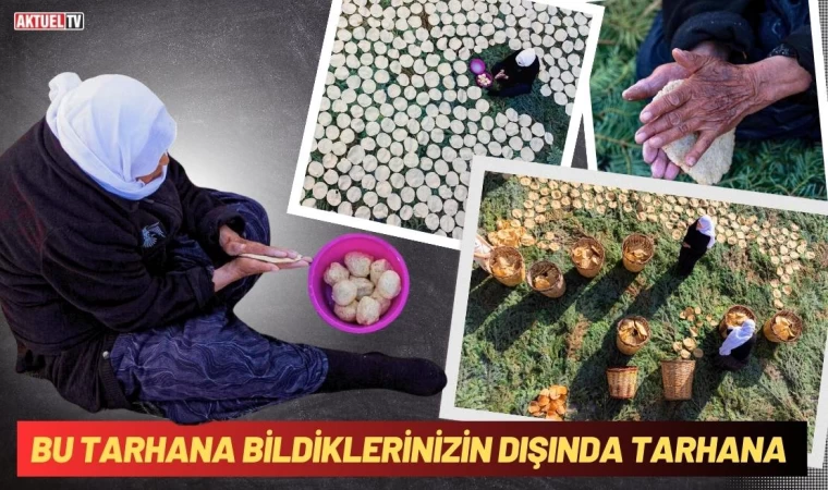 Bu Tarhana Bildiklerinizin Dışında Tarhana