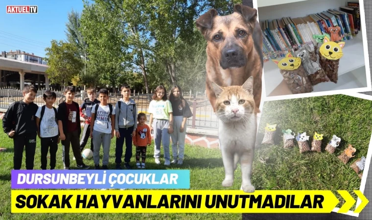 Dursunbey'de çocuklar sokak hayvanlarını unutmadı