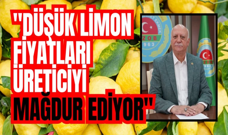 Düşük Limon Fiyatları Üreticiyi Mağdur Ediyor