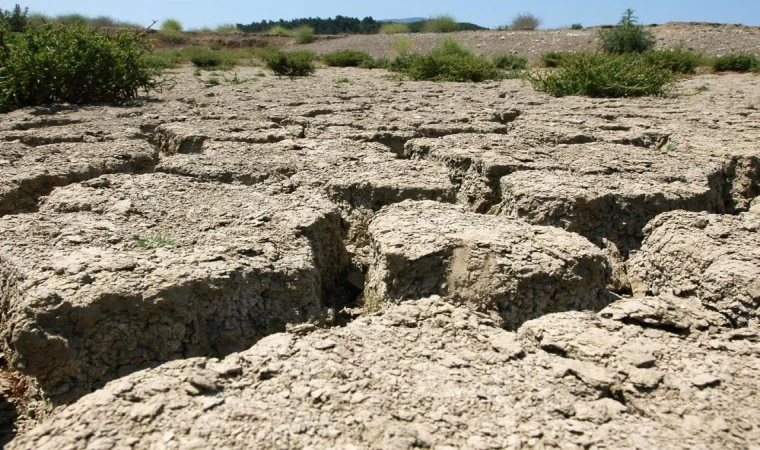 Ege Bölgesi İçin Kuraklık Alarmı