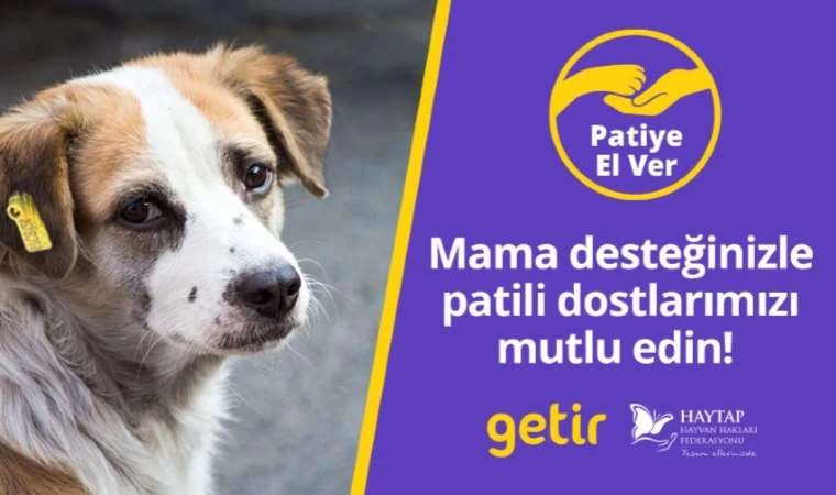 Getir’den Hayvan Barınaklarına 1,5 Milyon Kap Mama