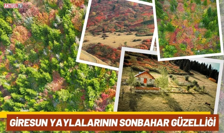 Giresun Yaylalarının Sonbahar Güzelliği